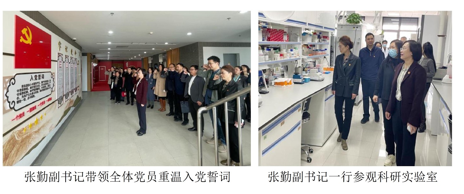 张勤副书记带领全体党员重温入党誓词张勤副书记一行参观科研实验室.jpg